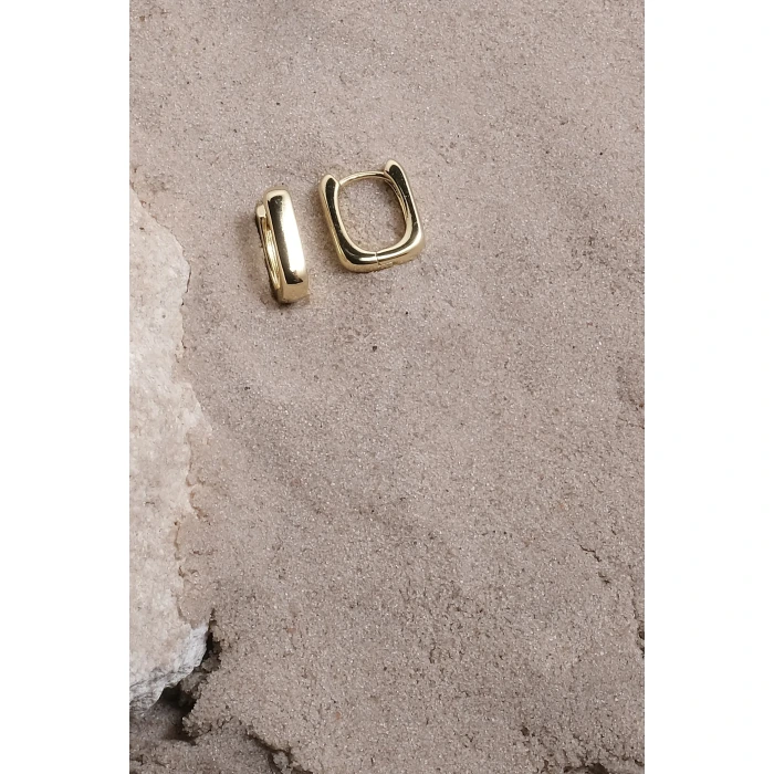 Ronse 14k Gold Xuping Küpe